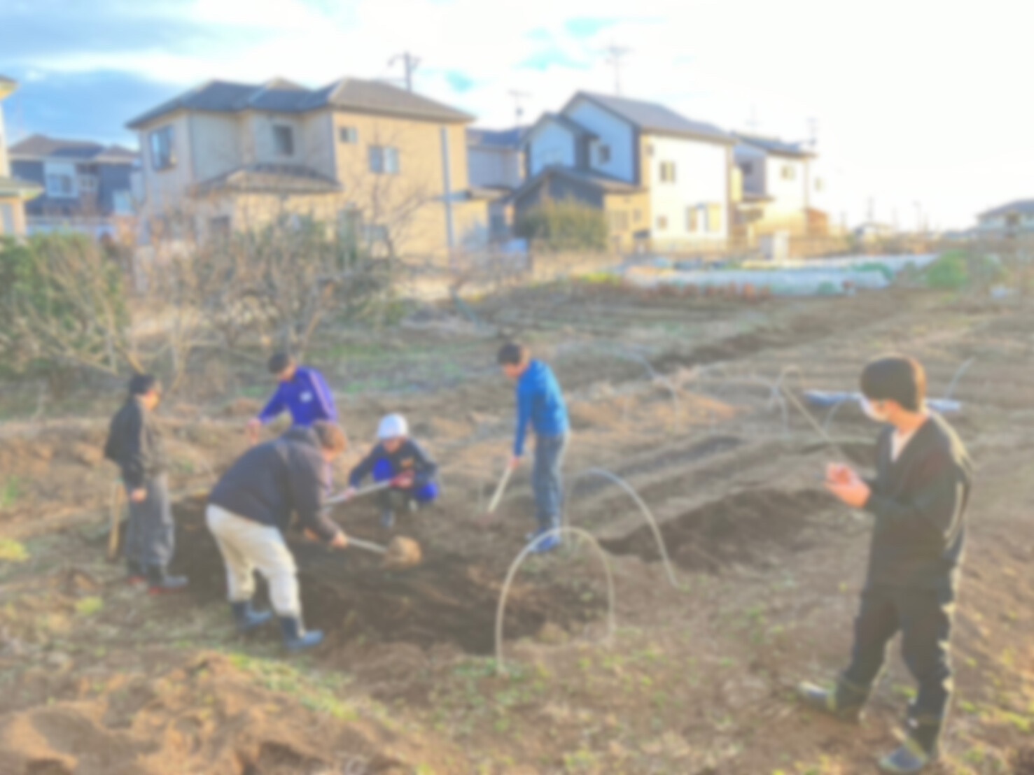 子どもたちの活動風景